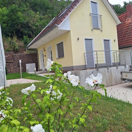 Ferienhaus Saaleblick Wettin Zewnętrze zdjęcie