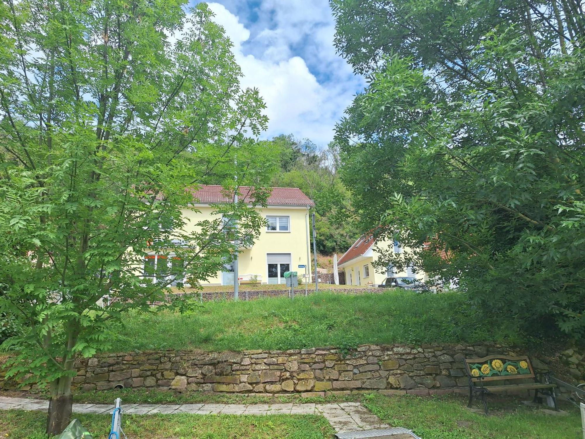 Ferienhaus Saaleblick Wettin Zewnętrze zdjęcie
